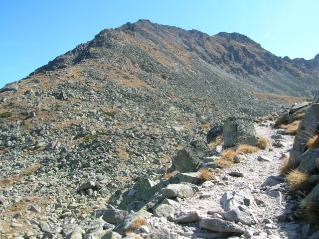 dscn3539.jpg